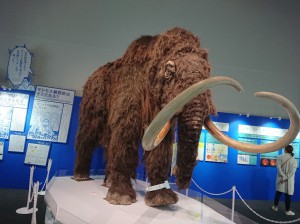 マンモス