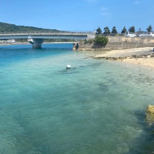 沖縄海