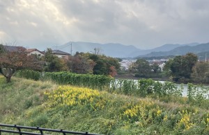 image0 - 2025-12-04T102148.974