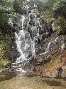 image1 - 2026-01-22T124514.479